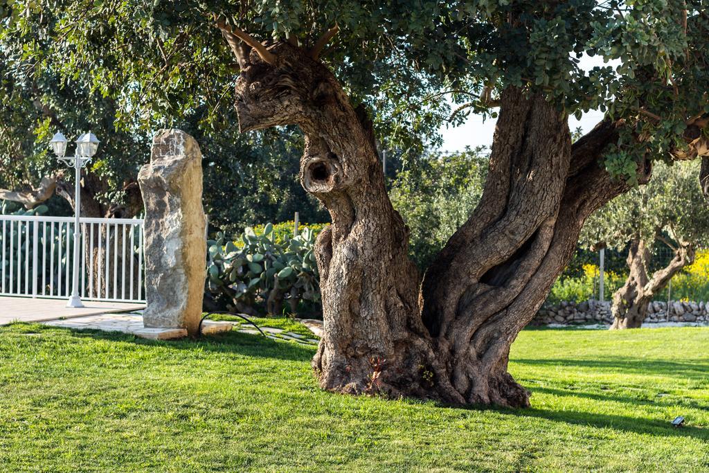 Il Giardino Dei Frangipani Apartment Santa Croce Camerina Luaran gambar